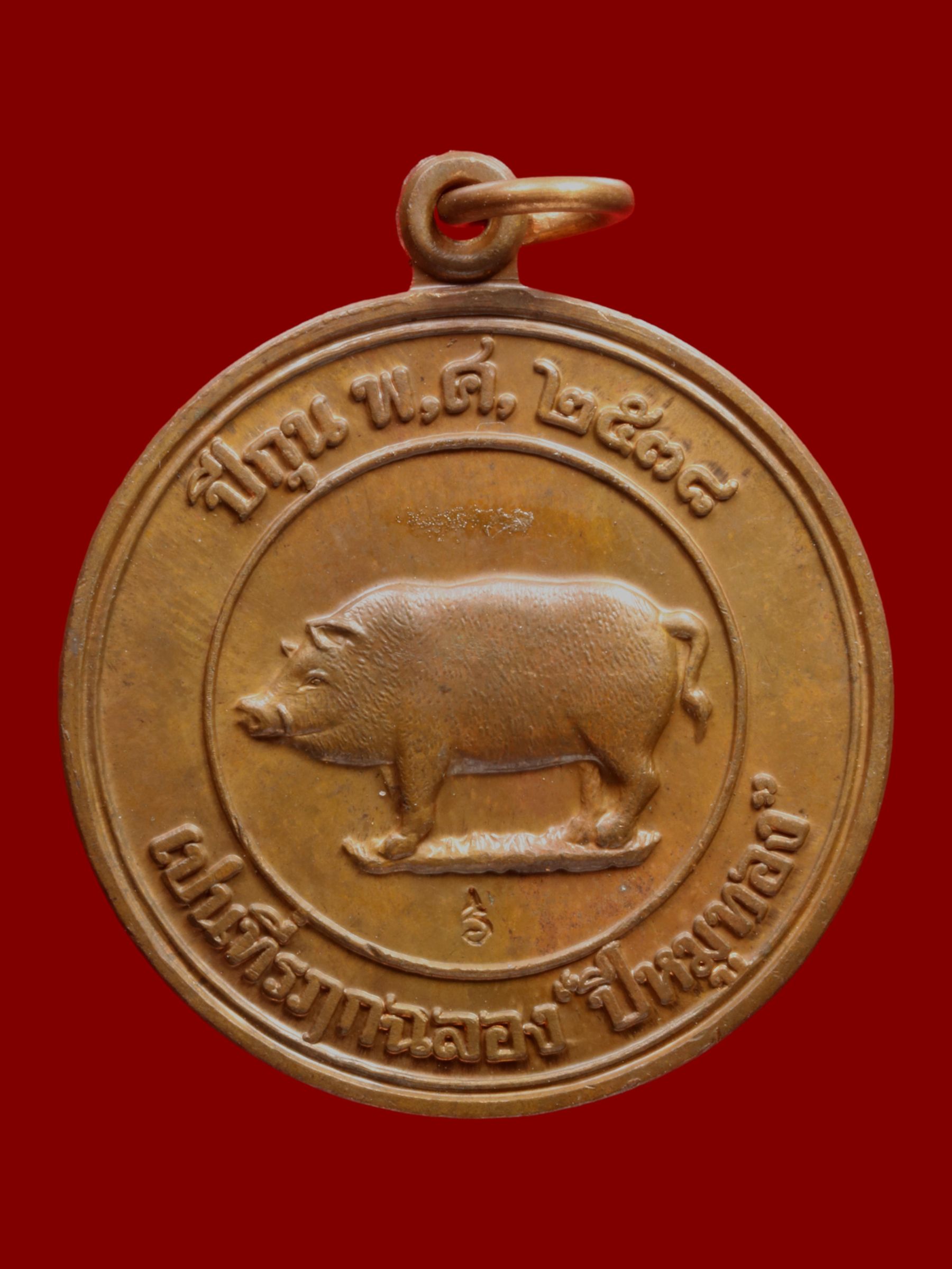 เหรียญปีหมูทองหลวงพ่อสาคร วัดหนองกรับ รูปที่ 1